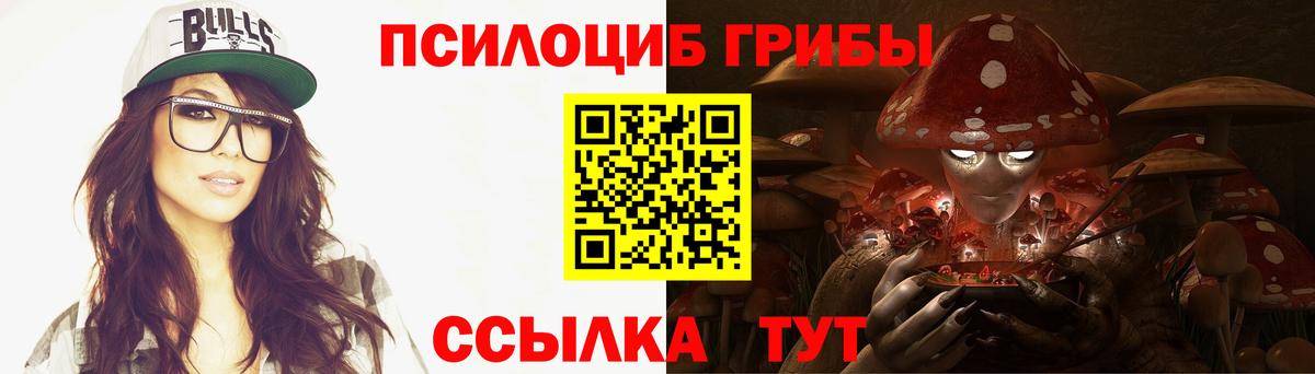 Петровск  Галлюциногенные грибы Psilocybe  Вход с VPN 